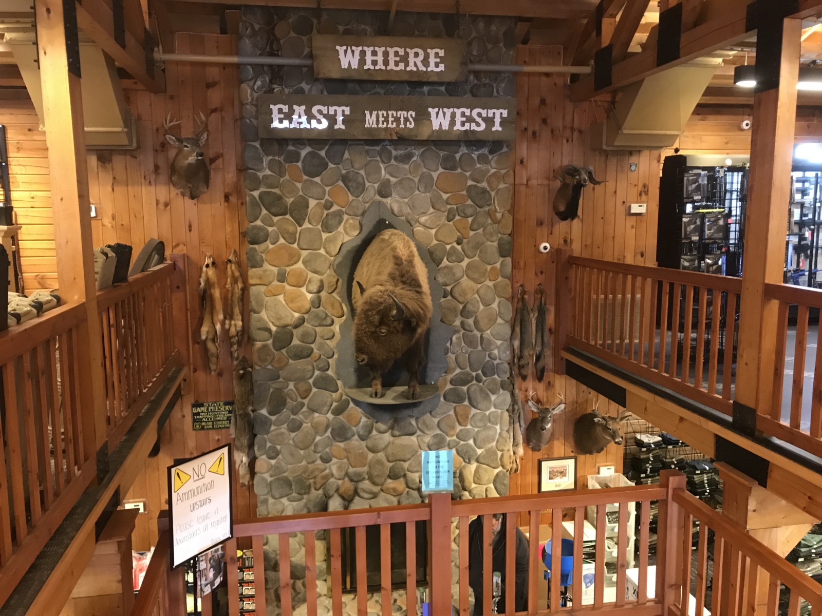 Mattei Construction LLC